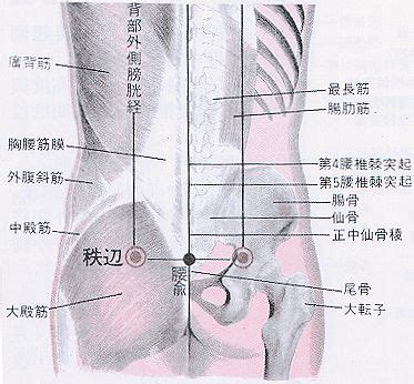 地經穴|醫砭 » 經穴庫 » 地機